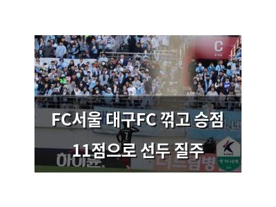 FC서울 대구FC 꺾고 승점 11점으로 선두 질주