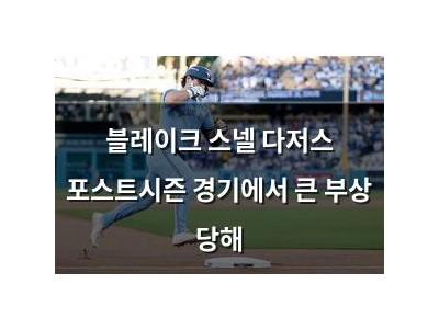 블레이크 스넬 다저스 포스트시즌 경기에서 큰 부상 당해