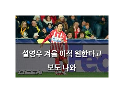 설영우 겨울 이적 원한다고 보도 나와
