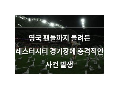 영국 팬들까지 몰려든 레스터시티 경기장에 충격적인 사건 발생