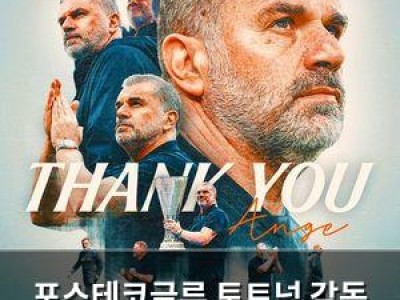 포스테코글루 토트넘 감독 해임 결정