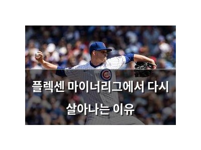 플렉센 마이너리그에서 다시 살아나는 이유