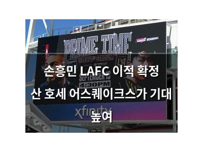 손흥민 LAFC 이적 확정 산 호세 어스퀘이크스가 기대 높여