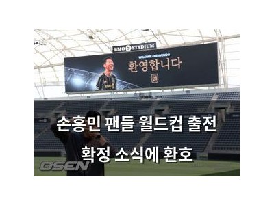 손흥민 팬들 월드컵 출전 확정 소식에 환호