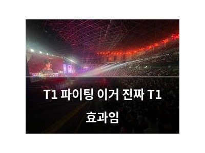 T1 파이팅 이거 진짜 T1 효과임