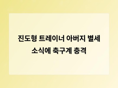 진도형 트레이너 아버지 별세 소식에 축구계 충격